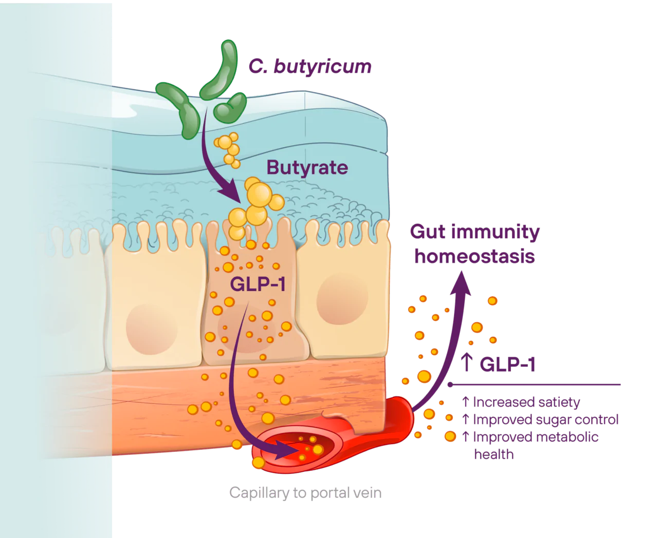 GI Repair NaturalRSO